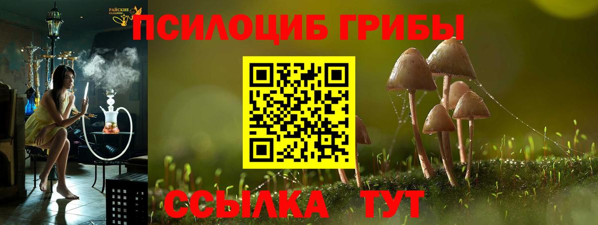 Джанкой  Псилоцибиновые грибы Magic Shrooms  Вход с VPN 